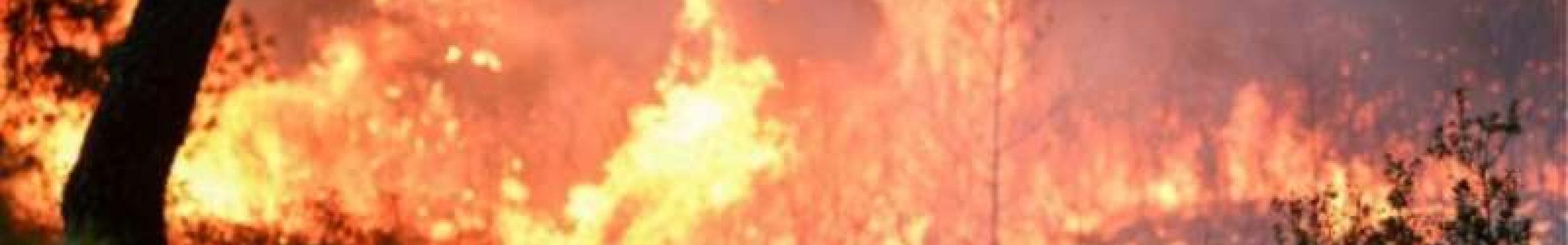 Σύλληψη στα πλαίσια του αυτοφώρου για πράξη εμπρησμού