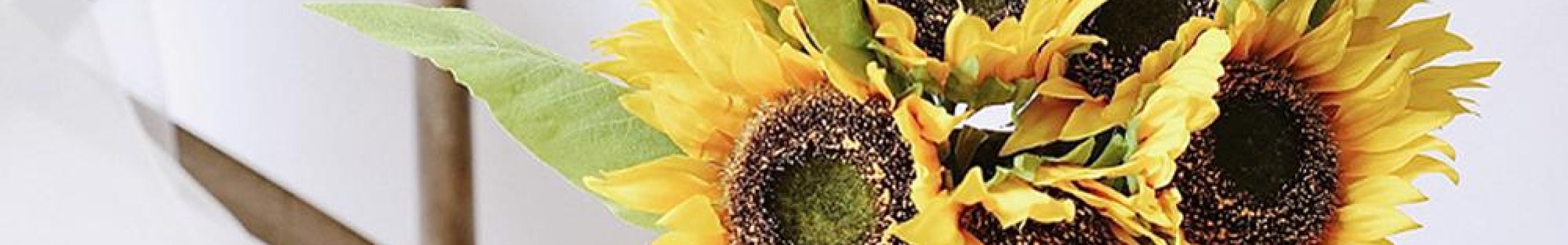 30 ιδέες για να διακοσμήσετε το σπίτι σας με καλοκαιρινά λουλούδια