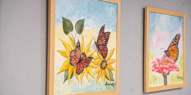 Έκθεση ζωγραφικής: Μιμίκα Μηλάτου – Μιχαηλίδη «Πεταλούδες, Χρώματα, Εικόνες» @Κέφαλος [16.07.2024]
