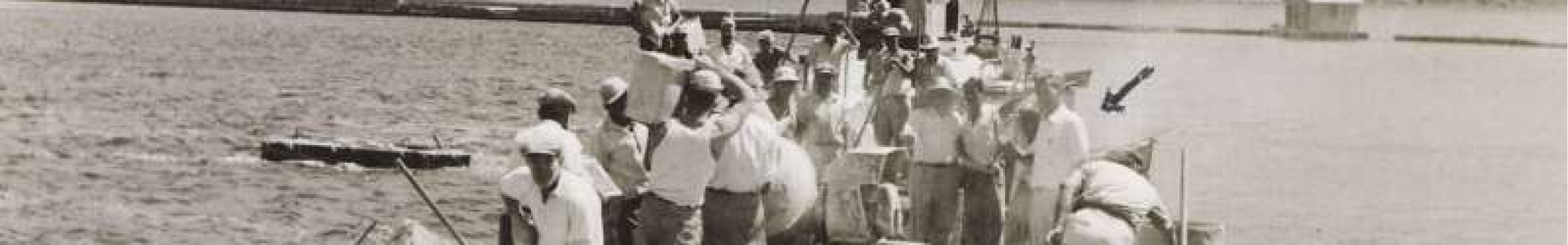 Επισκευή γέφυρας De Bosset 1965