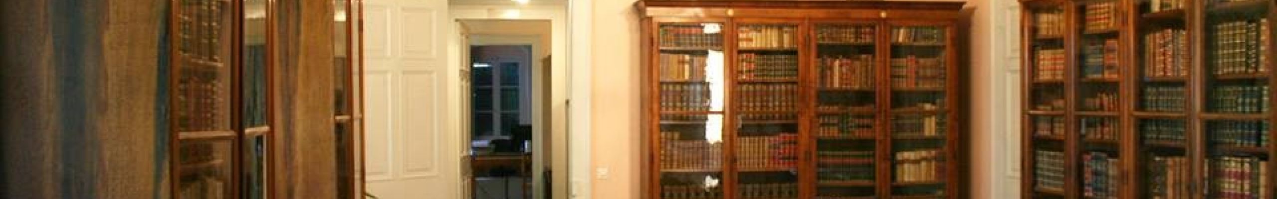 Διαδικτυακή ομιλία «Η Εκστρατεία του Ελληνικού Στρατού στη Μικρά Ασία (1919-1922)»