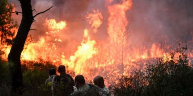 Σύλληψη στα πλαίσια του αυτοφώρου για πράξη εμπρησμού