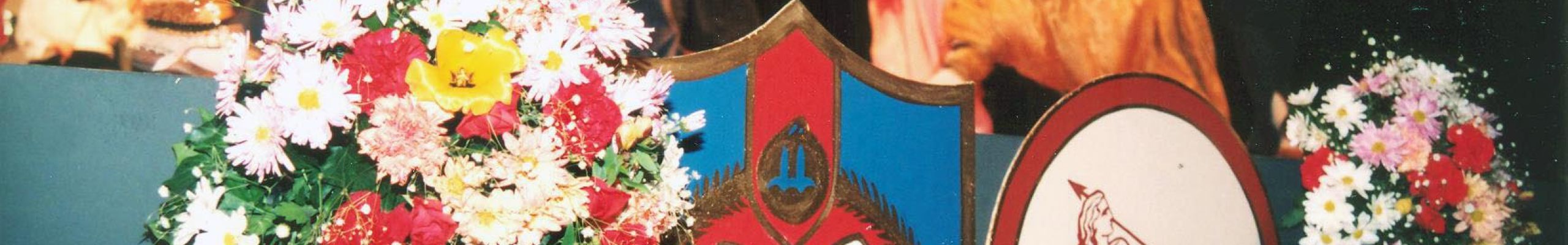 Το μουσικοχορευτικό συγκρότημα ABRASEVIC από την Σερβία σας καλεί να γνωρίσετε τους παραδοσιακούς χορούς της πατρίδας του