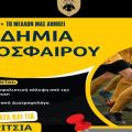 Συνεχίζονται οι εγγραφές στις Ακαδημίες της ΑΕΚ Κεφαλονιάς στο ΔΑΚ Αργοστολίου