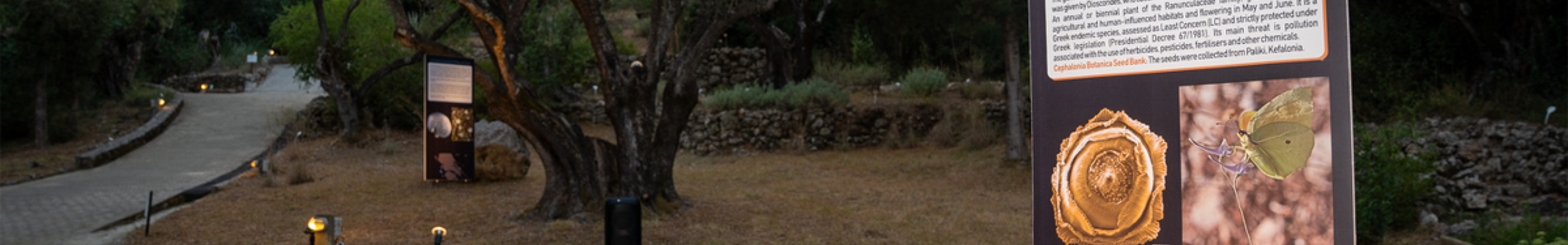Με μεγάλη επιτυχία και συμμετοχή πραγματοποιήθηκε το Διήμερο Φεστιβάλ Σπόρων & Βιοποικιλότητας στον Βοτανικό Κήπο Κεφαλονιάς