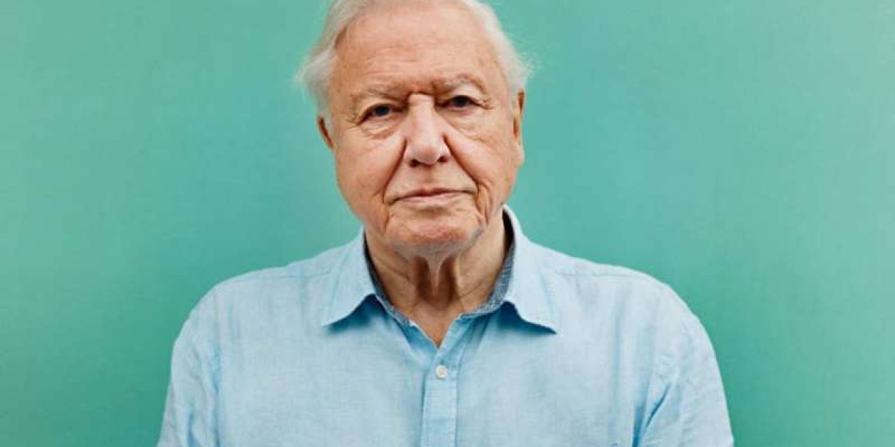 Sir David Attenborough: 5 τρόποι με τους οποίους μπορούμε να βοηθήσουμε να σωθεί ο πλανήτης