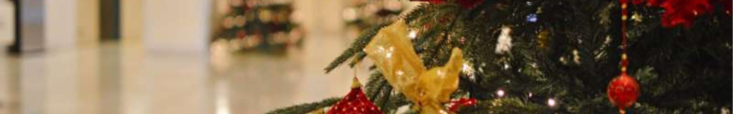 Εκδήλωση και κίνηση αλληλεγγύης από τον Πολιτιστικό Σύλλογο «ΟΙ ΦΑΡΑΚΛΑΔΕΣ»