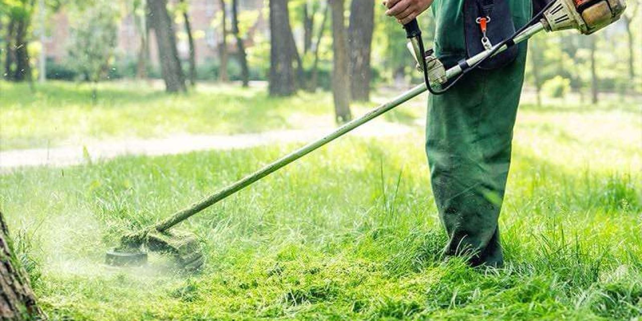 Ζητείται κηπουρός για ενοικιαζόμενα δωμάτια