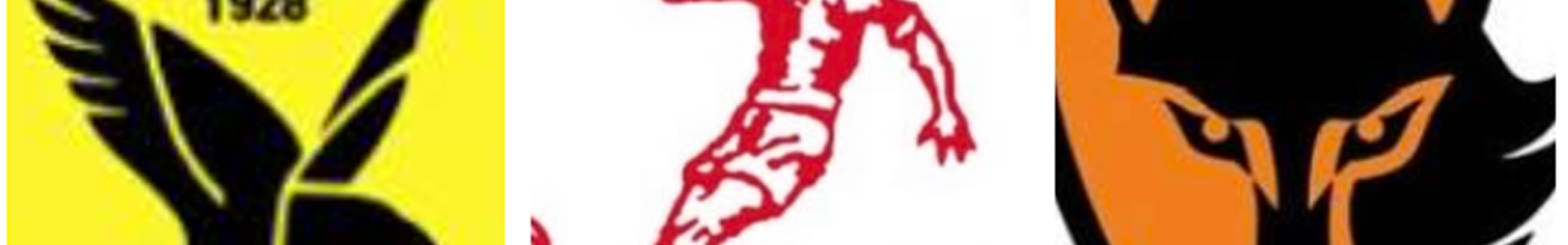 Στο Ρίο για δύο δυνατά φιλικά παιχνίδια η γυναικεία ομάδα του Παλληξουριακού Συλλόγου