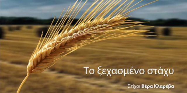 Το Ξεχασμένο Στάχυ – Νέο Album (Μ. Πλέσσας – Λ. Κόκοτος – Β. Φάμπας)