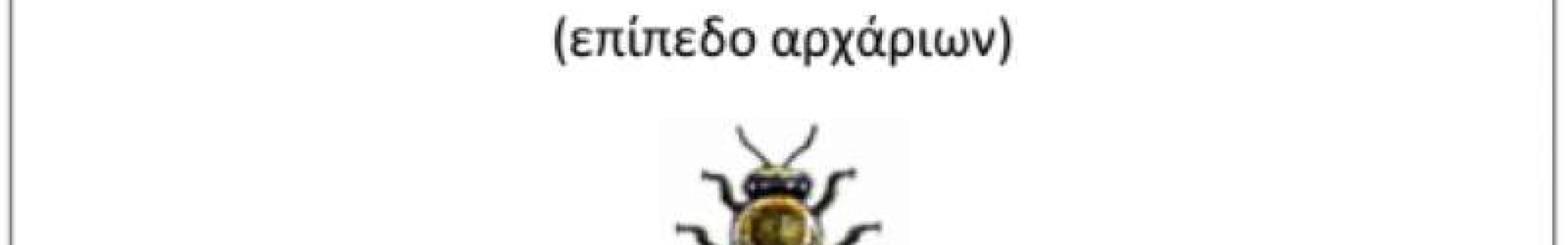 Γεωργική Σχολή: Κατάρτιση μελισσοκόμων